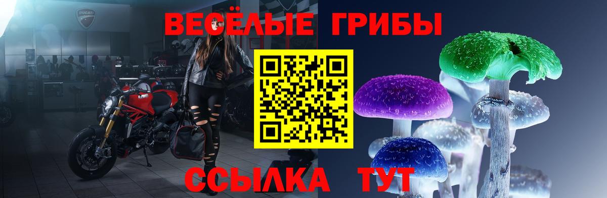 Камышин  Псилоцибиновые грибы Magic Shrooms  Вход с VPN 